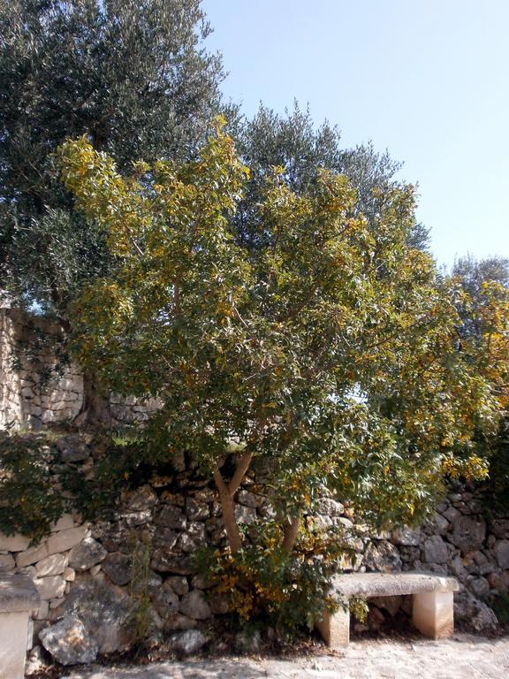 Trullo Villa Giuliana Con Giardino Posizione Panoramica Free Wifi Остуни Стая снимка